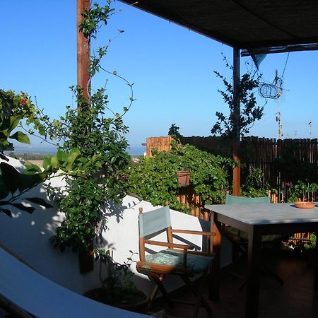 Piazza San Pantaleo Bed and Breakfast Sorso Eksteriør billede